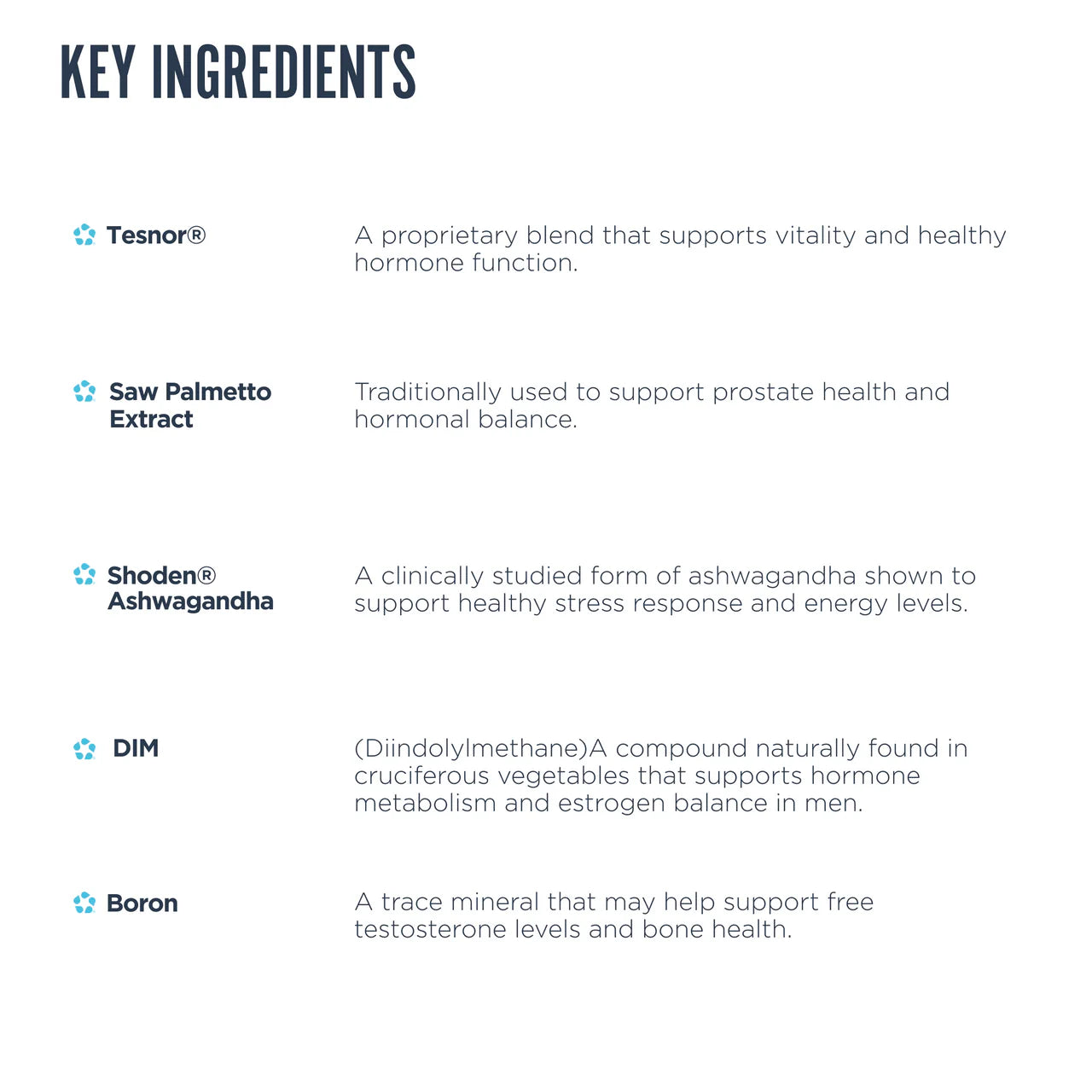 REVIVE MD Men's Health